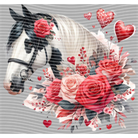 Valentine's Day-QRJ  5863